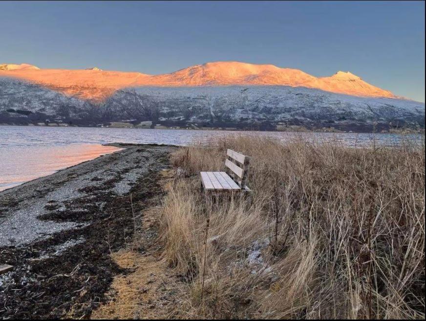 Secluded Northern Light Apartment With Great View! Selnes  Exterior photo
